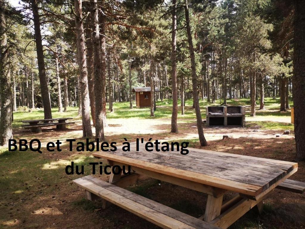 Apt Confortable Au Pied Des Pistes Et De La Foret Bolquere Pyrenees 2000 Buitenkant foto